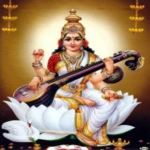 maa saraswati: all in one android application logo